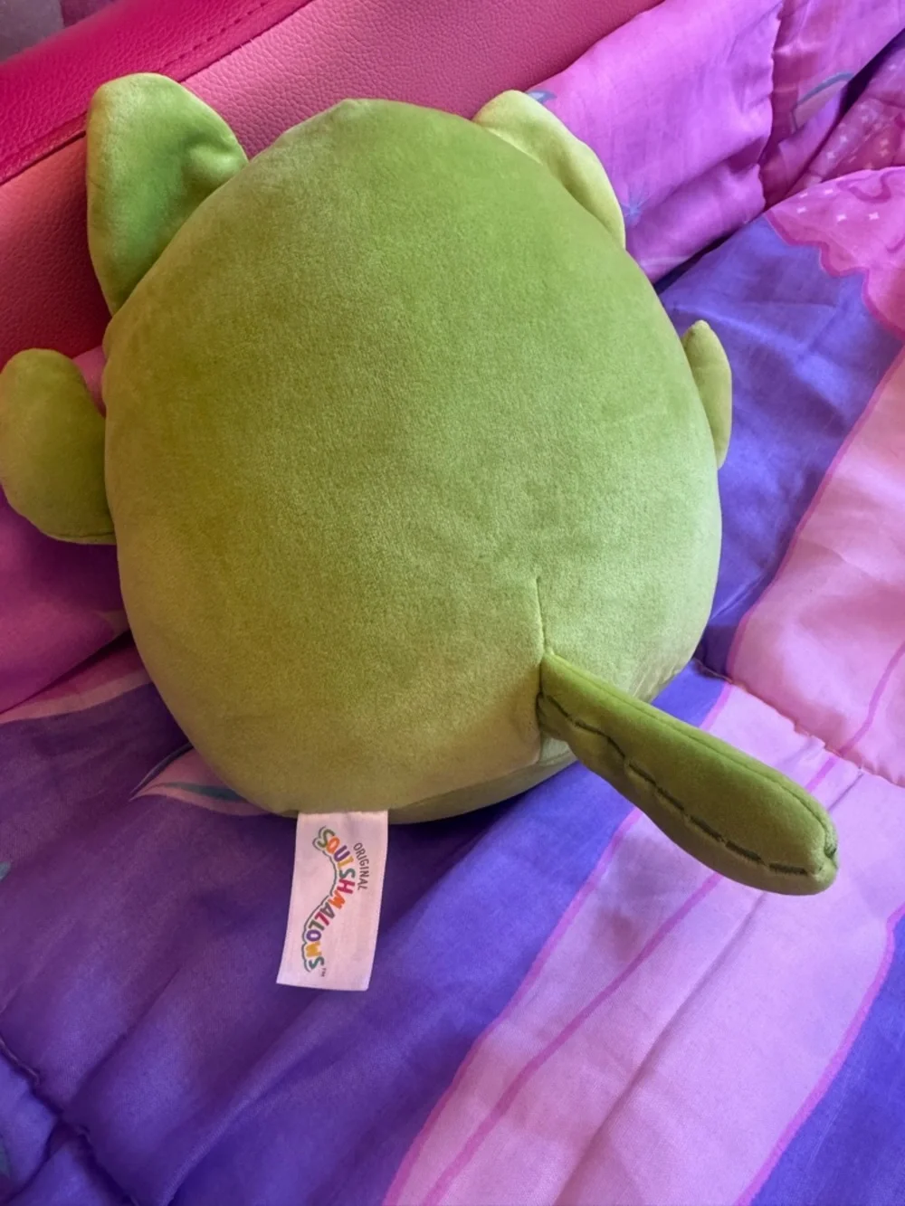 New 8 inch Squishmallows Ms. Miss the Cactus Cat plush toy